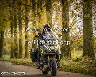 Herfstrit Moerzeke photo