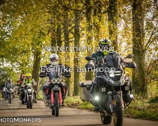 Herfstrit Moerzeke photo