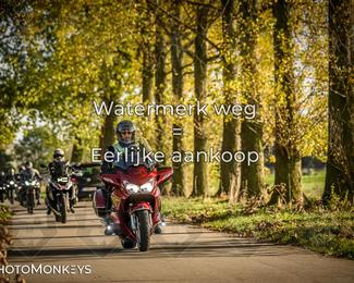 Herfstrit Moerzeke photo