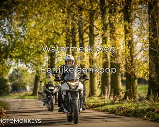 Herfstrit Moerzeke photo