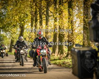 Herfstrit Moerzeke photo