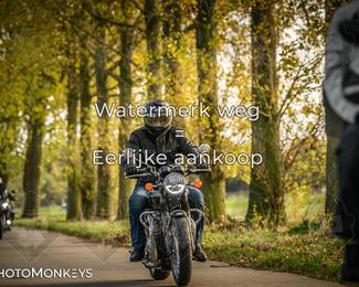 Herfstrit Moerzeke photo