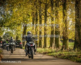 Herfstrit Moerzeke photo