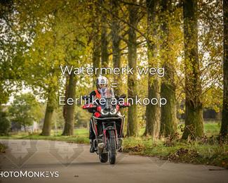 Herfstrit Moerzeke photo