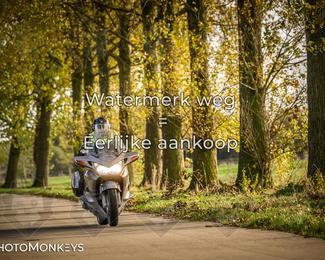 Herfstrit Moerzeke photo