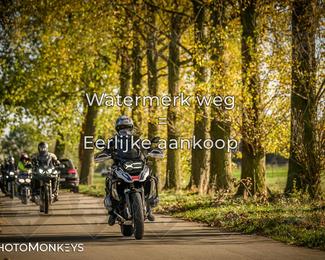 Herfstrit Moerzeke photo