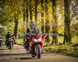 Herfstrit Moerzeke photo