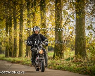 Herfstrit Moerzeke photo