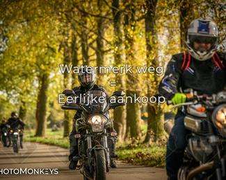 Herfstrit Moerzeke photo