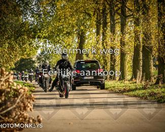 Herfstrit Moerzeke photo