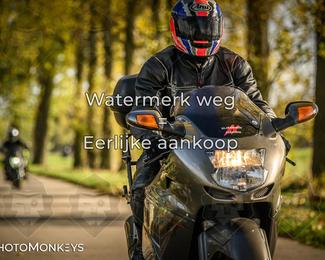 Herfstrit Moerzeke photo