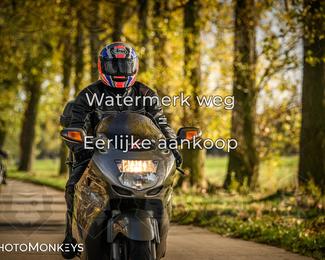 Herfstrit Moerzeke photo