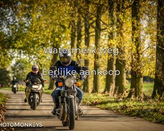 Herfstrit Moerzeke photo