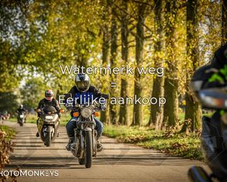 Herfstrit Moerzeke photo