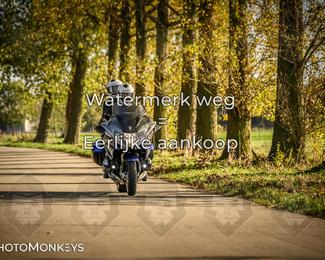 Herfstrit Moerzeke photo