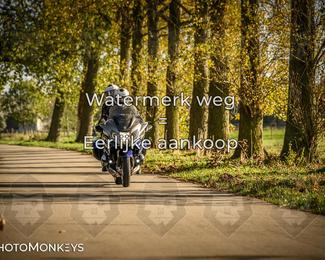 Herfstrit Moerzeke photo