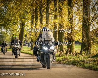 Herfstrit Moerzeke photo