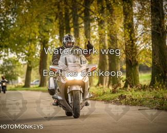 Herfstrit Moerzeke photo