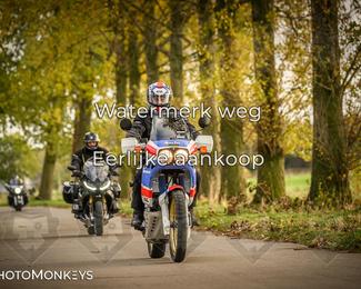 Herfstrit Moerzeke photo