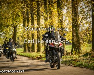 Herfstrit Moerzeke photo