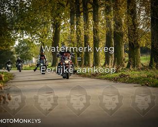 Herfstrit Moerzeke photo