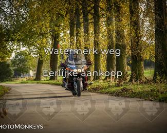 Herfstrit Moerzeke photo