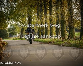 Herfstrit Moerzeke photo