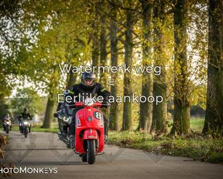 Herfstrit Moerzeke photo