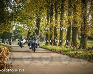 Herfstrit Moerzeke photo