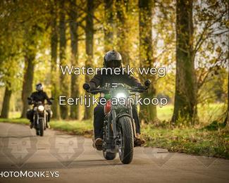 Herfstrit Moerzeke photo