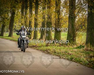 Herfstrit Moerzeke photo