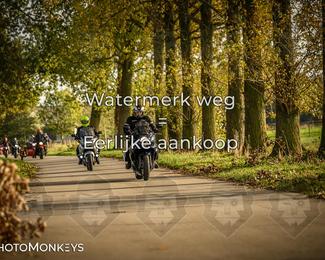 Herfstrit Moerzeke photo