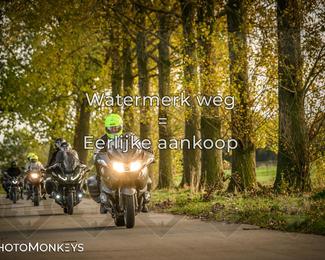 Herfstrit Moerzeke photo