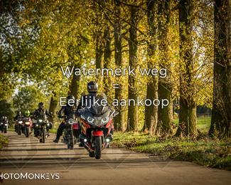 Herfstrit Moerzeke photo