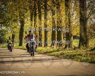 Herfstrit Moerzeke photo