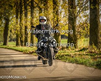 Herfstrit Moerzeke photo