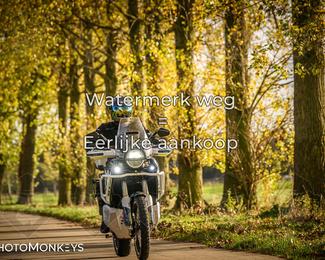 Herfstrit Moerzeke photo