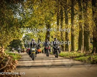 Herfstrit Moerzeke photo