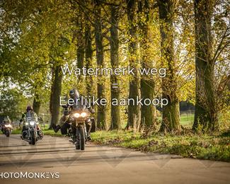 Herfstrit Moerzeke photo