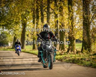 Herfstrit Moerzeke photo