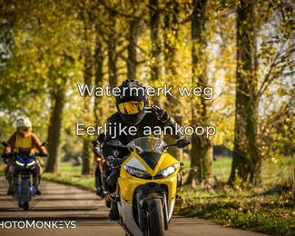 Herfstrit Moerzeke photo