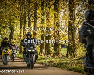 Herfstrit Moerzeke photo