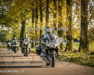 Herfstrit Moerzeke photo