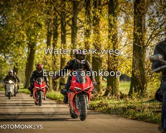 Herfstrit Moerzeke photo