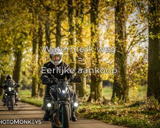 Herfstrit Moerzeke photo