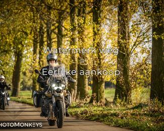 Herfstrit Moerzeke photo