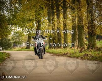 Herfstrit Moerzeke photo