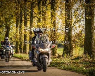 Herfstrit Moerzeke photo