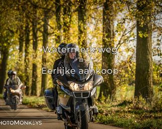 Herfstrit Moerzeke photo