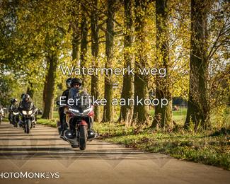 Herfstrit Moerzeke photo